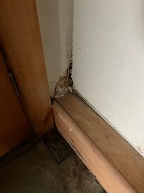 Crumbling wall in corner of kitchen
