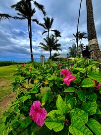 Flowers on the property.