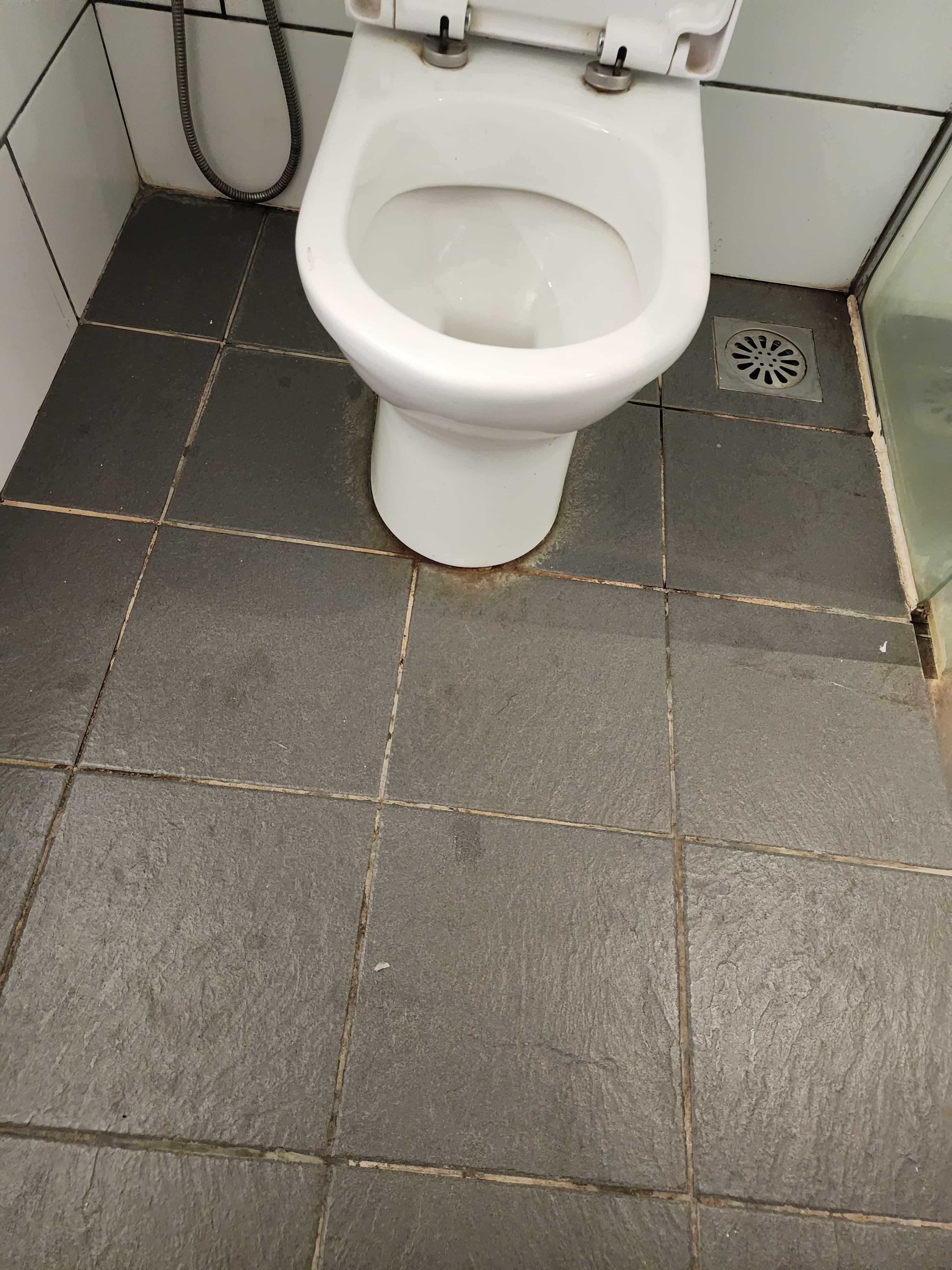 Toilet seat was broken