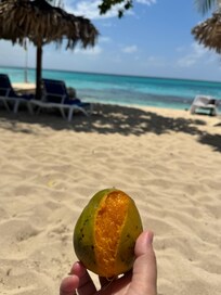 Fresh mango on the beach