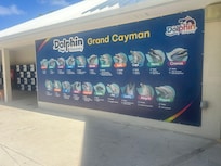 Visit to dolphins