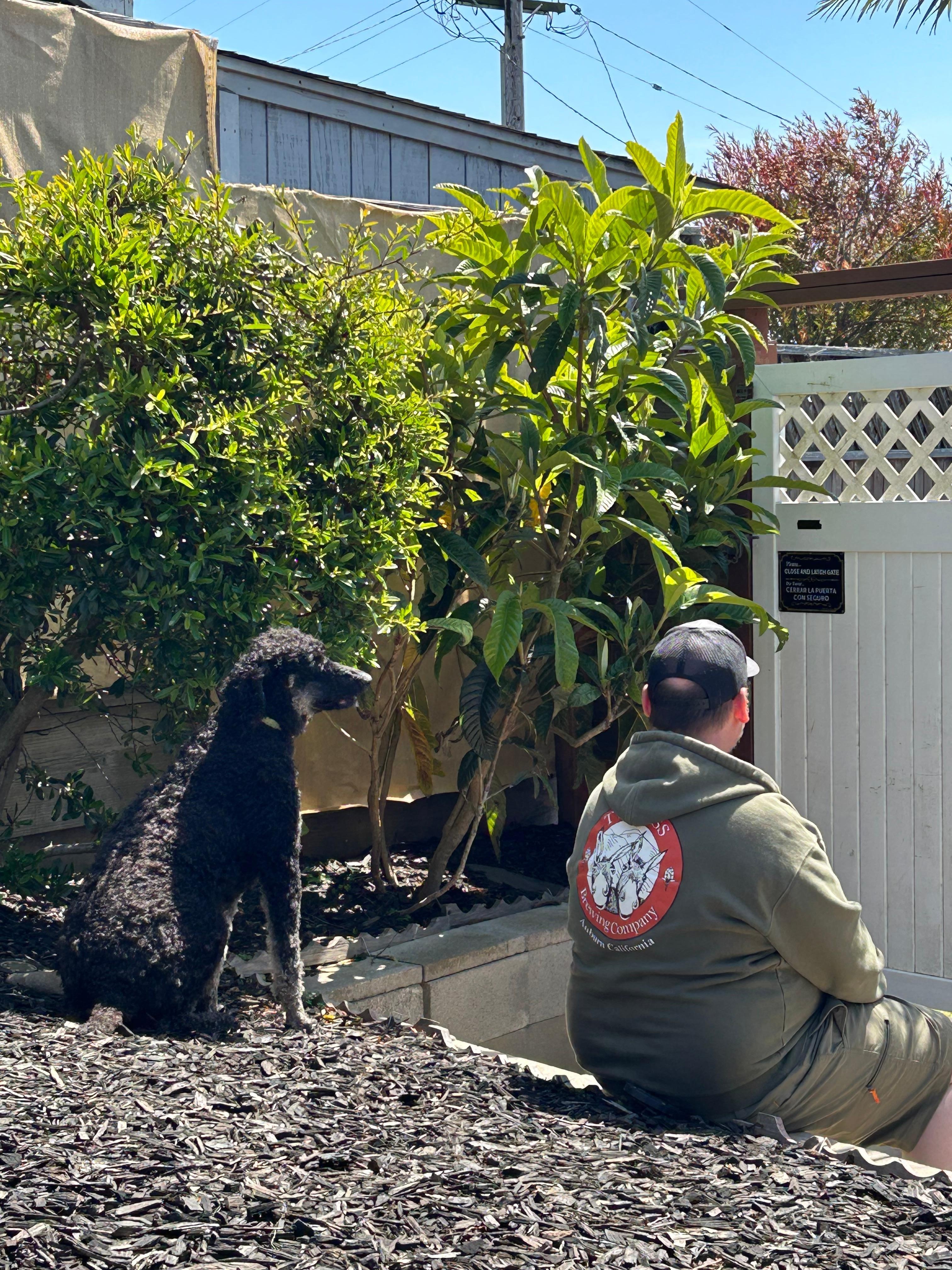 Kali and her dad back from a walk around the neighborhood 
