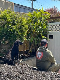 Kali and her dad back from a walk around the neighborhood