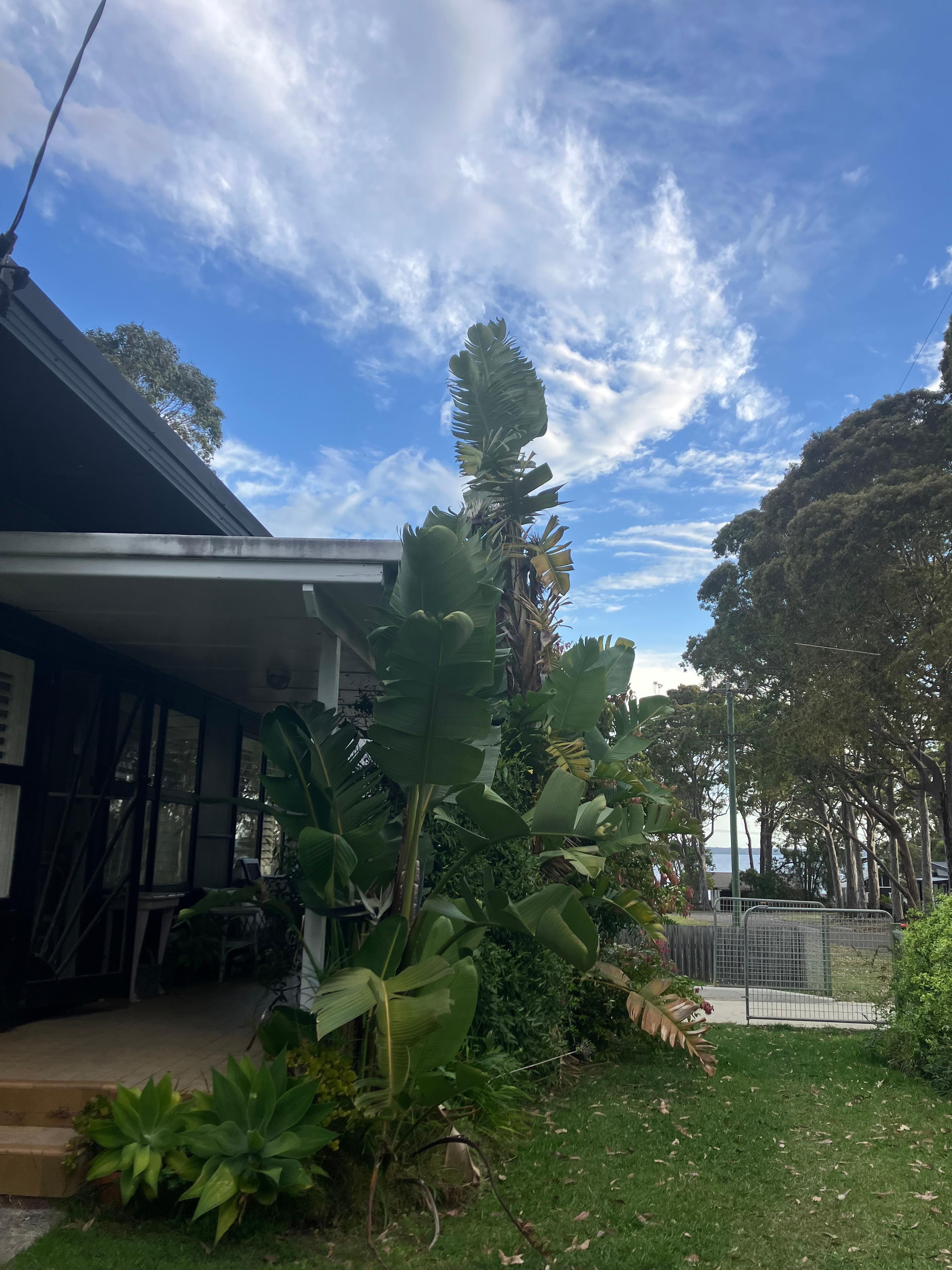 Beautiful weather and enjoyed some visiting wallabys.