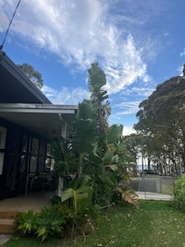 Beautiful weather and enjoyed some visiting wallabys.
