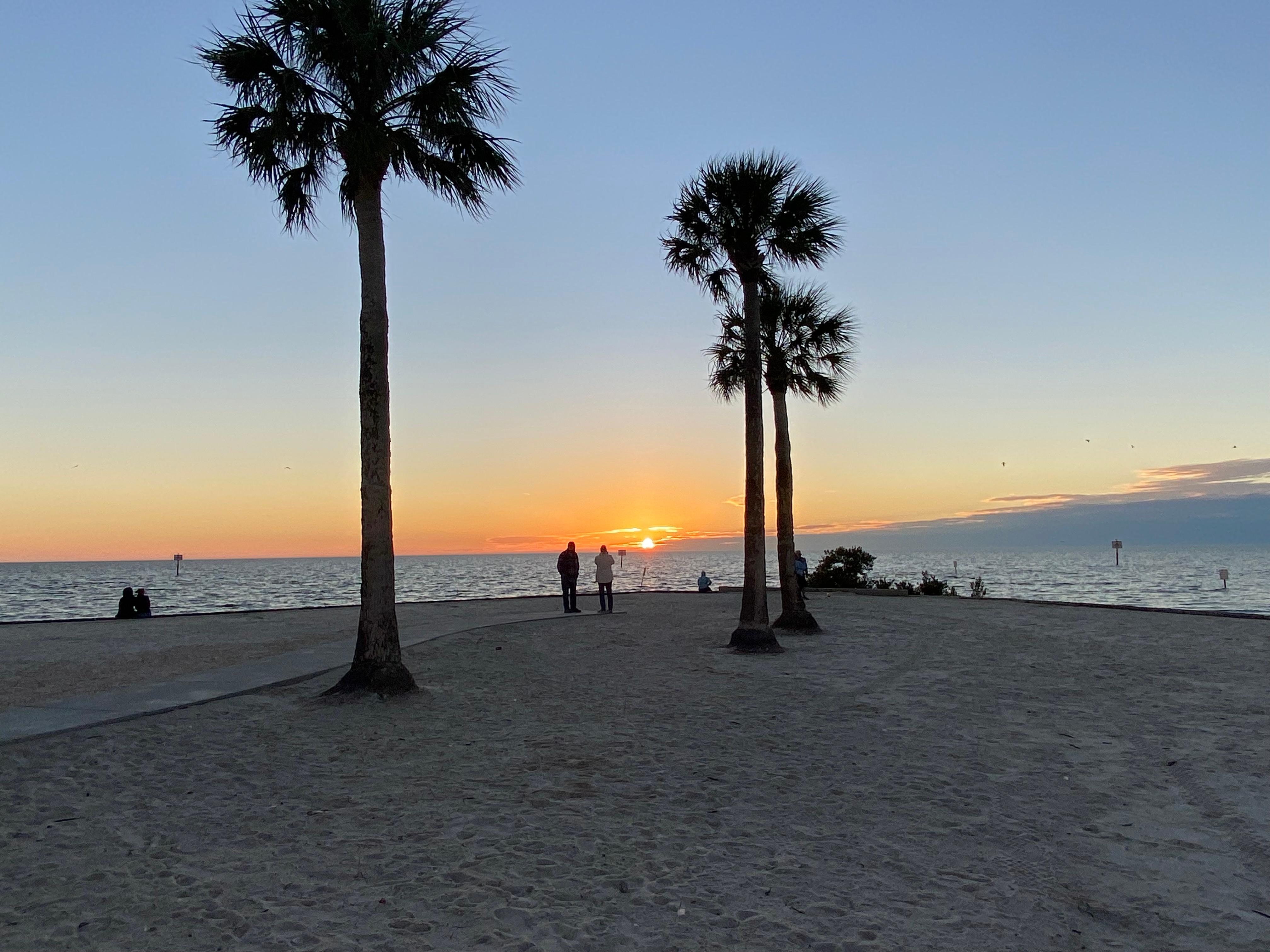 Alfred A McKethan Pine Island