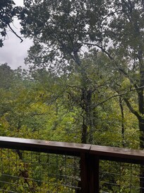 View from porch