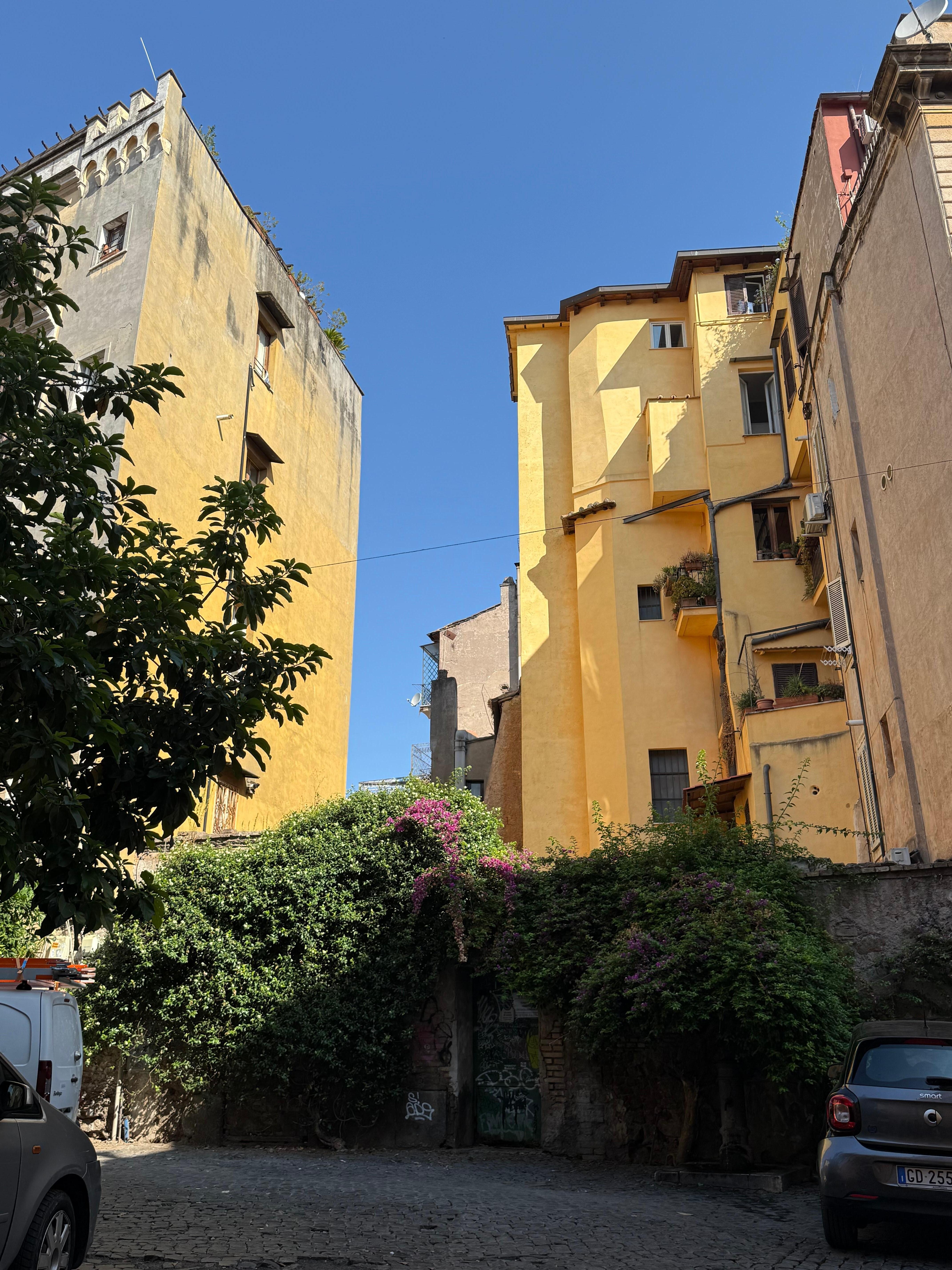 The view from the door 