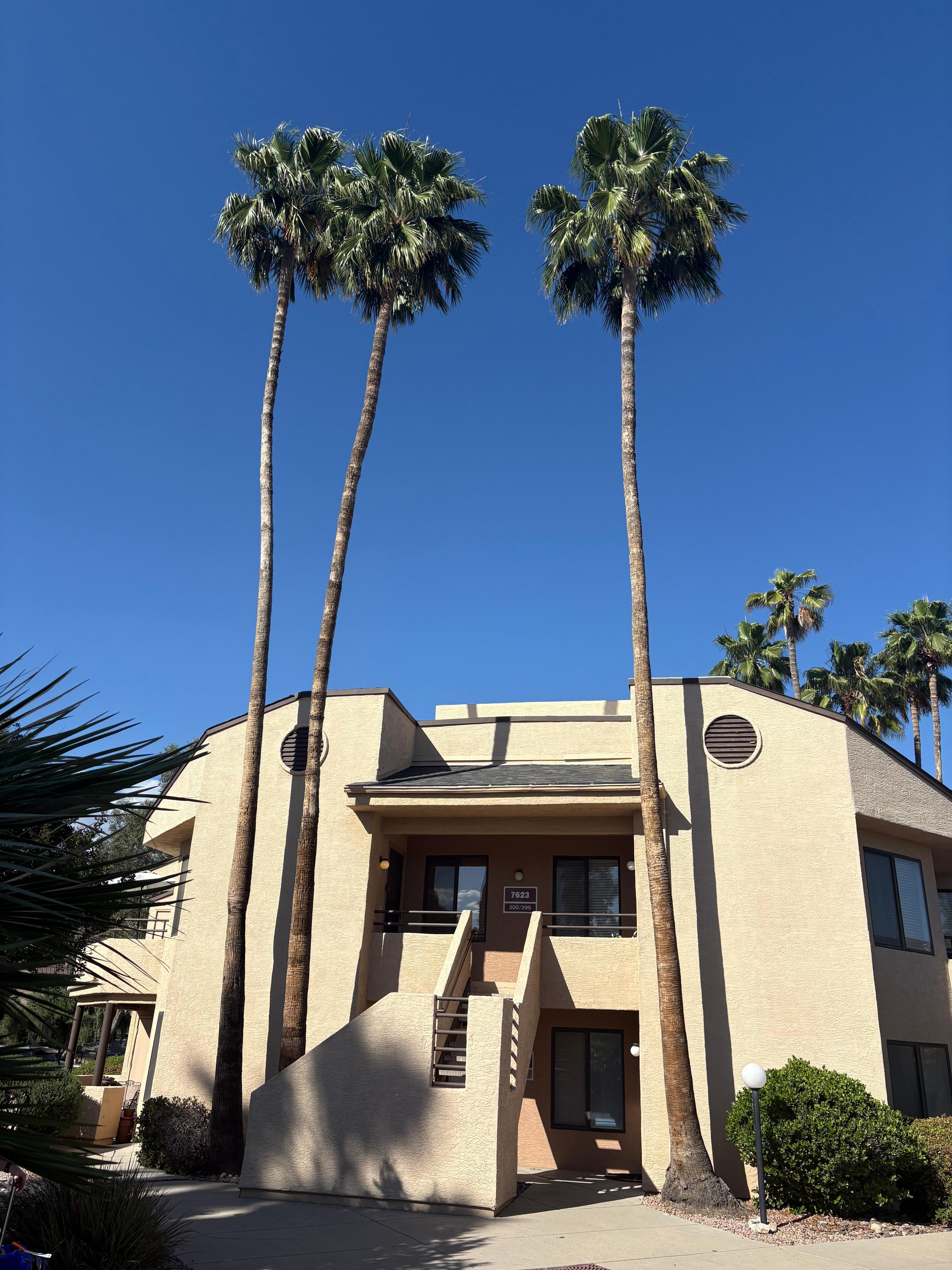 Front of the complex