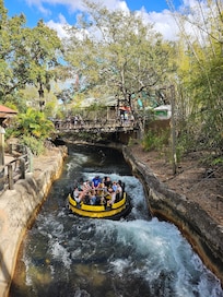 Exciting rides just minutes from the property at Busch Gardens!