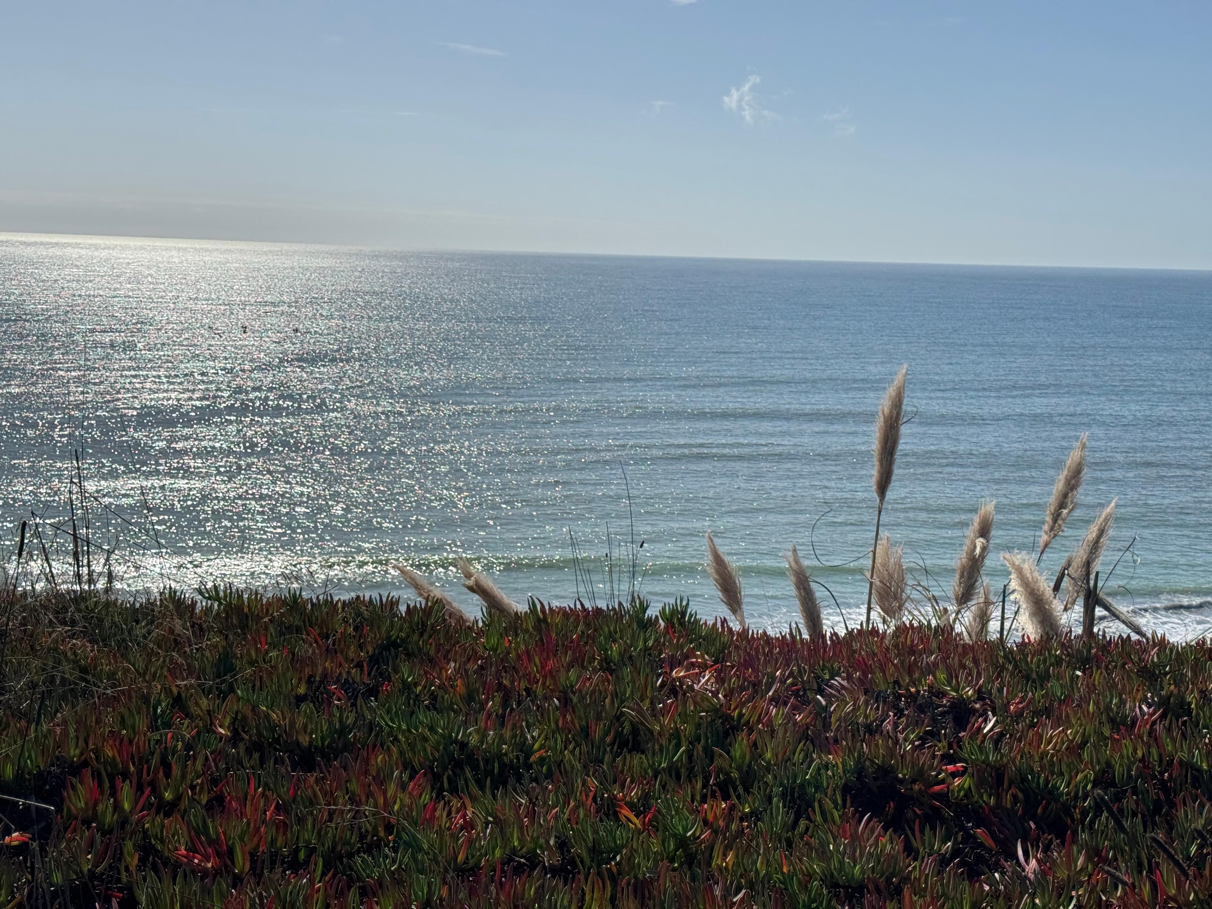 Down the trail a bit from the condo and we were greeted by whales. 