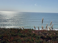 Down the trail a bit from the condo and we were greeted by whales.