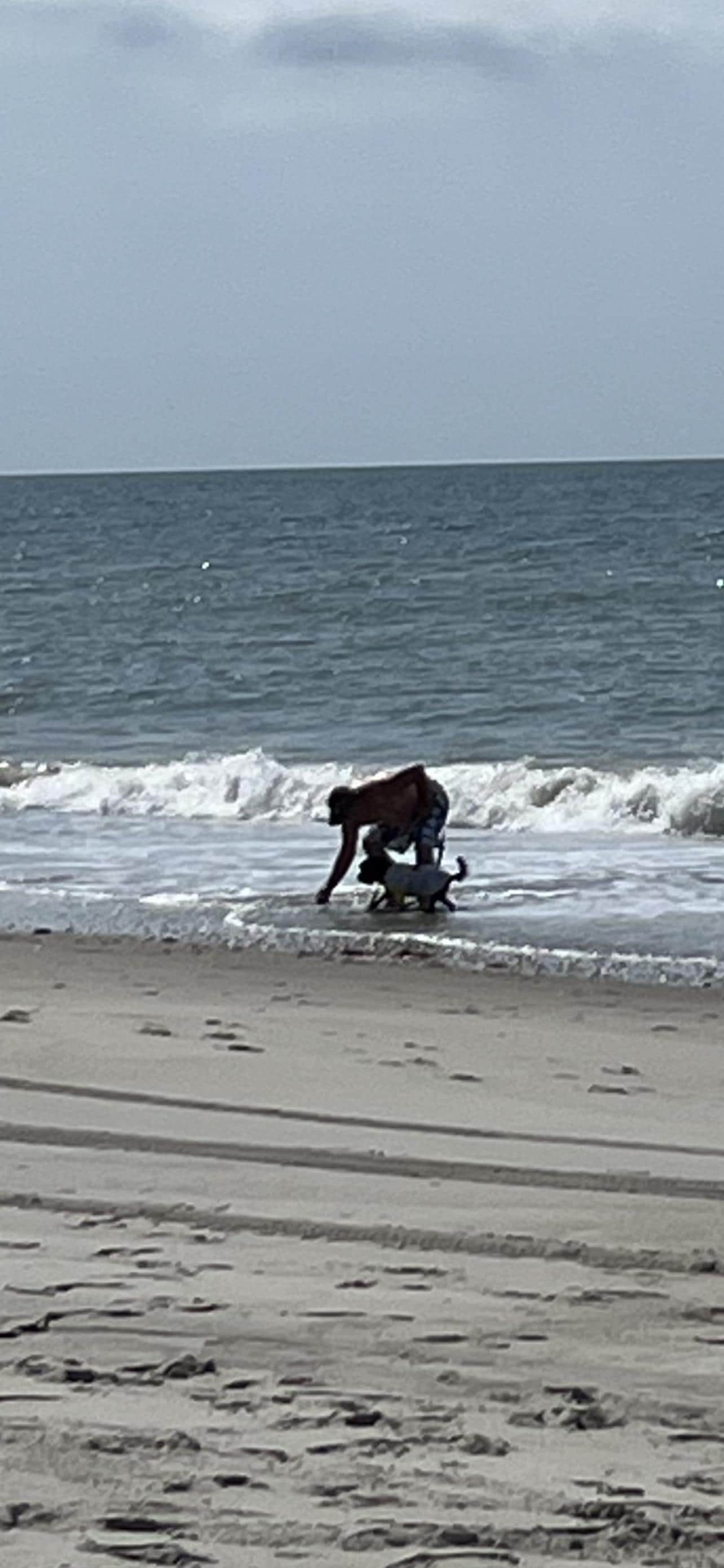 Looking for shells