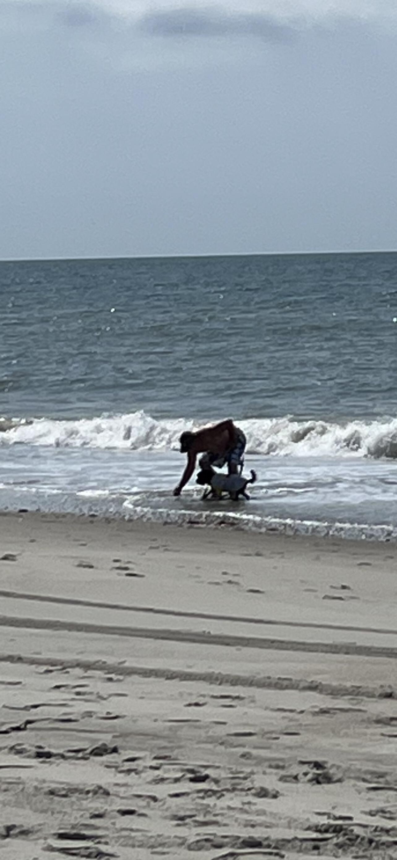 Looking for shells