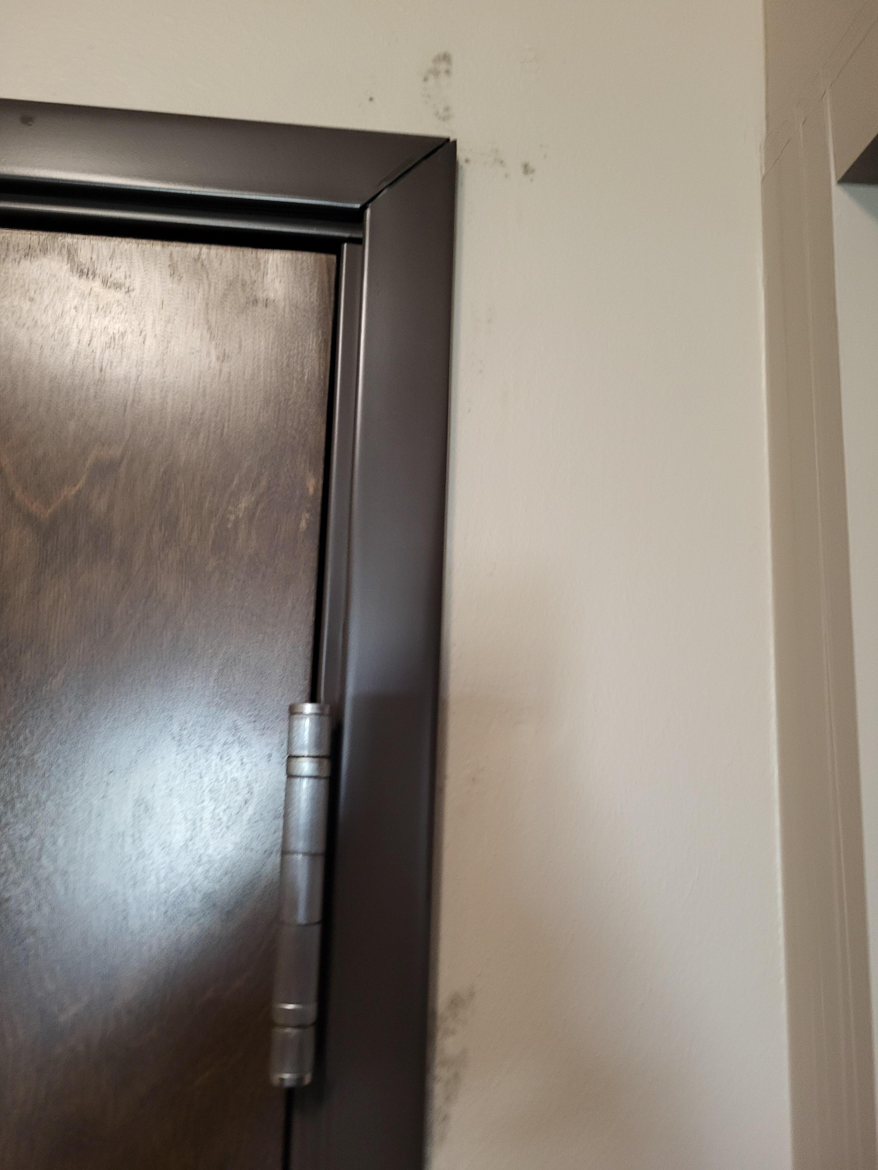 Mold around entry door