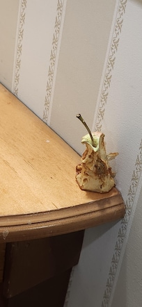 Old apple core in entry on arrival...:(