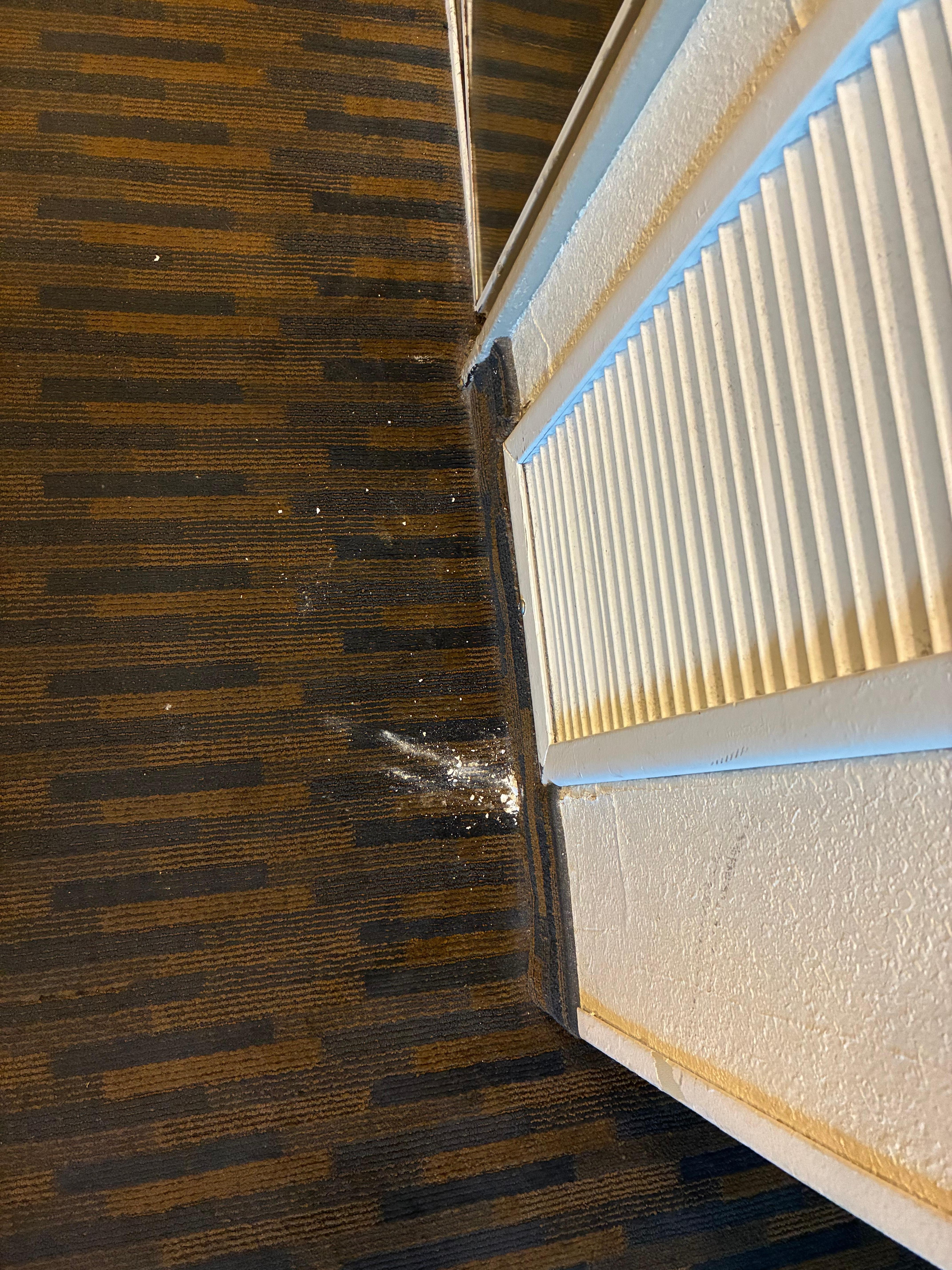 Parts of crumbling ceiling 