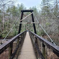Toccoa suspension bridge