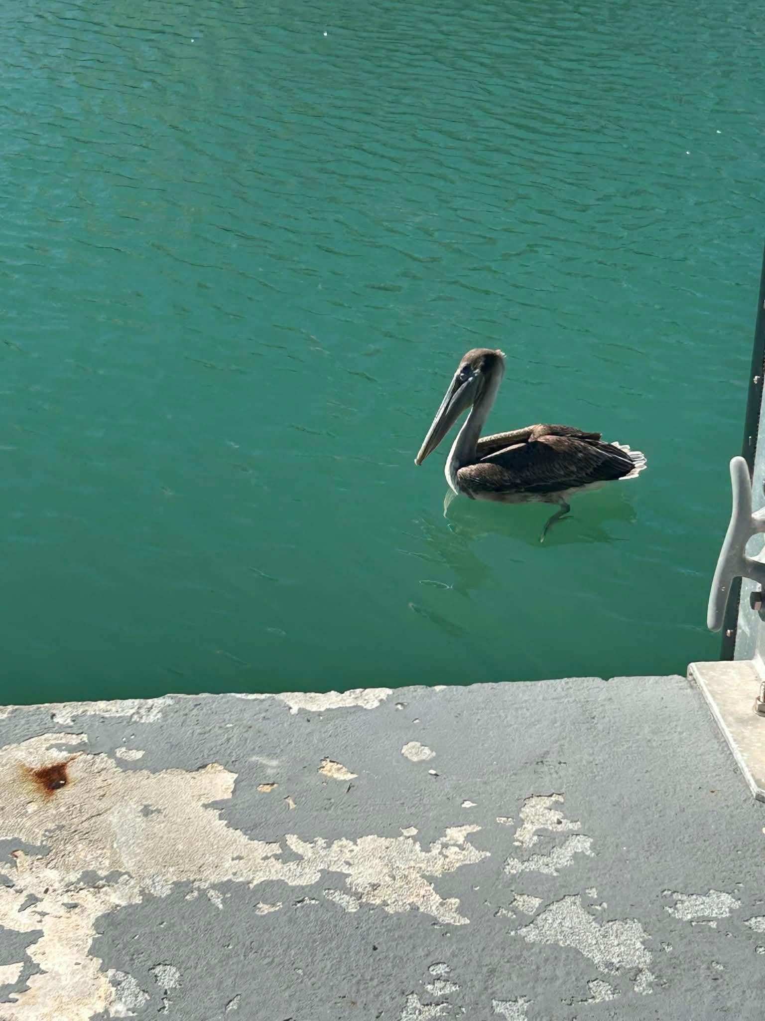 We loved the friends that came to visit!