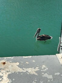 We loved the friends that came to visit!