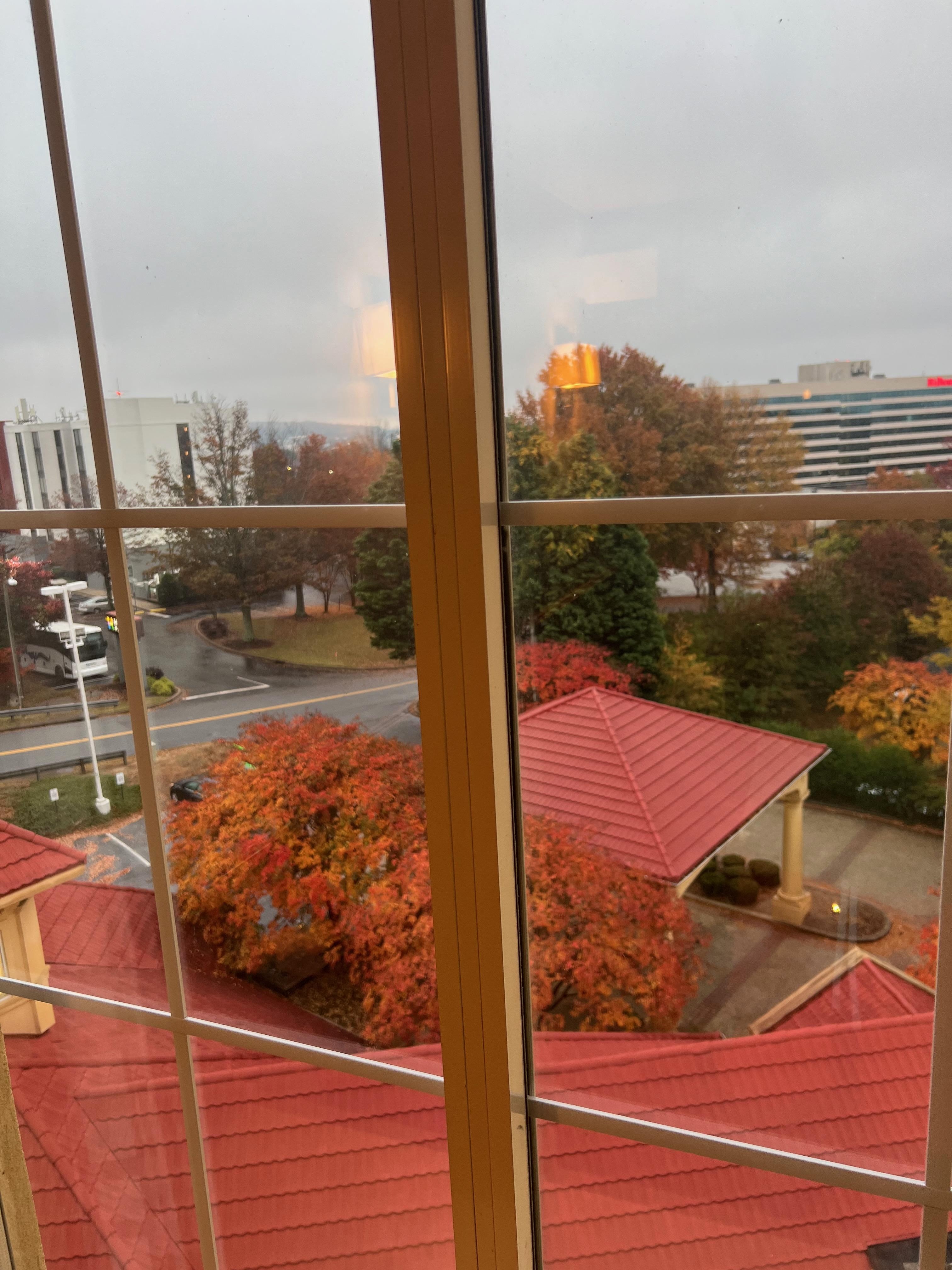 Looking out the window from the 6th floor