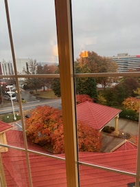 Looking out the window from the 6th floor