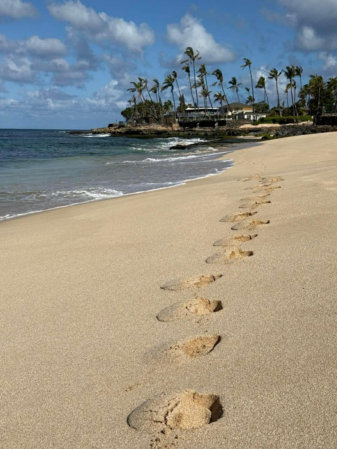 walking the beach in the other direction