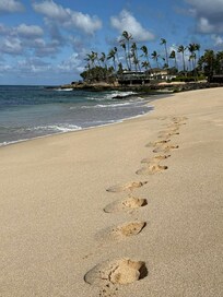 walking the beach in the other direction