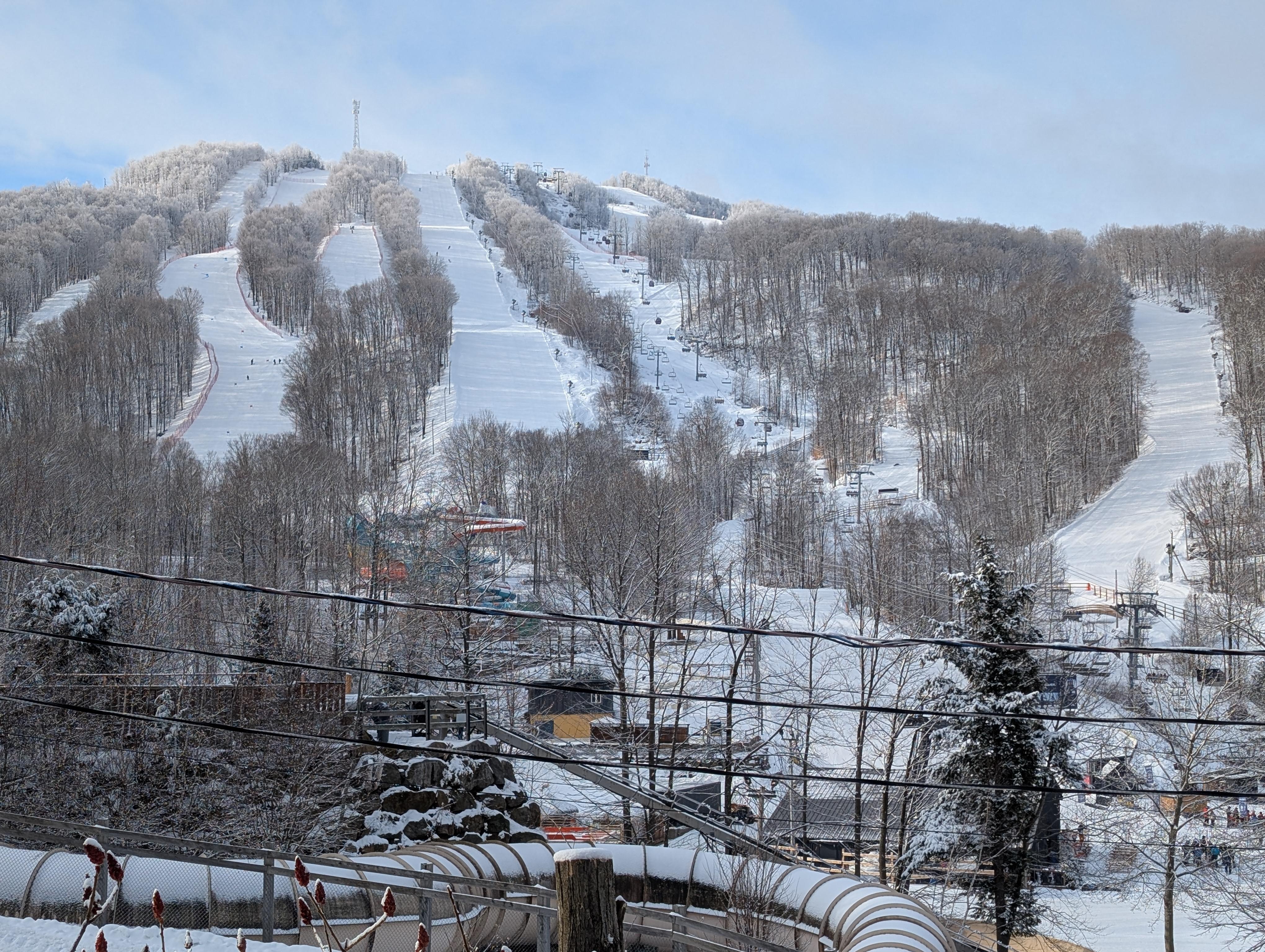 View from the deck - so fun to watch the hill "wake up" each morning.