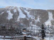 View from the deck - so fun to watch the hill "wake up" each morning.