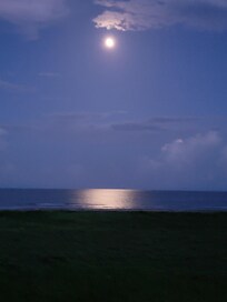 Moonlight on the good from the porch.