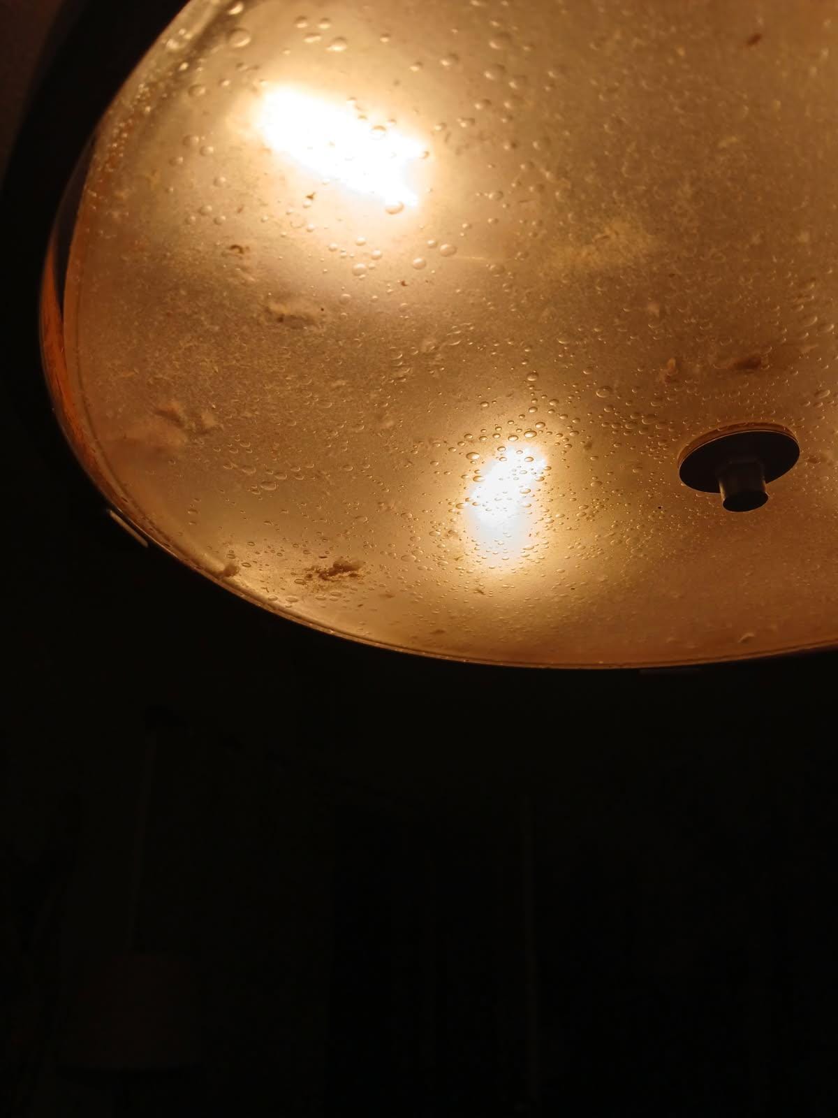 Light with half inch of dust inside it and dead bugs, above dining table. The house was full of this.