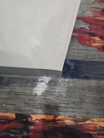 Urine bleached hallways