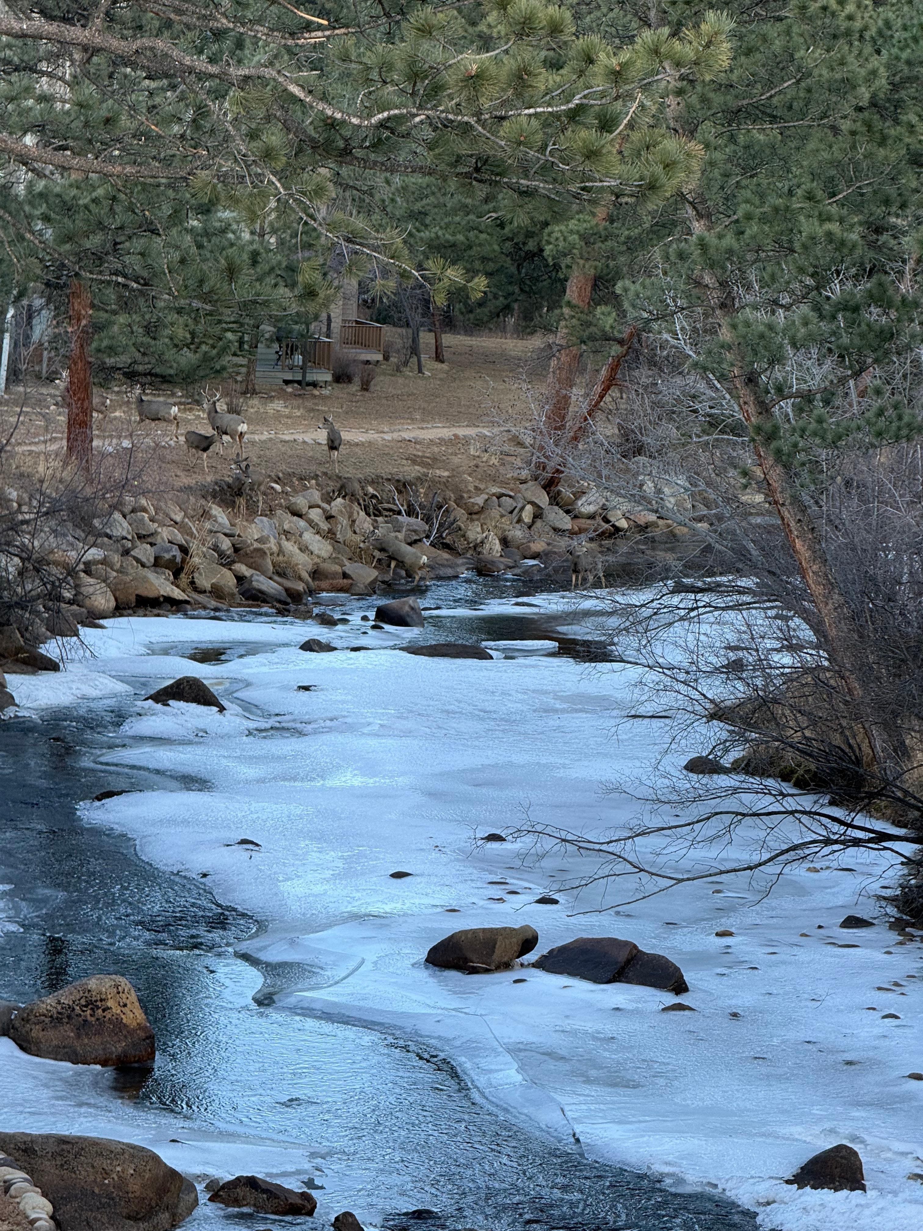 View to the east from the deck. 