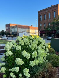 Walk downtown (2 blocks from home)