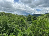 View from the back porch.