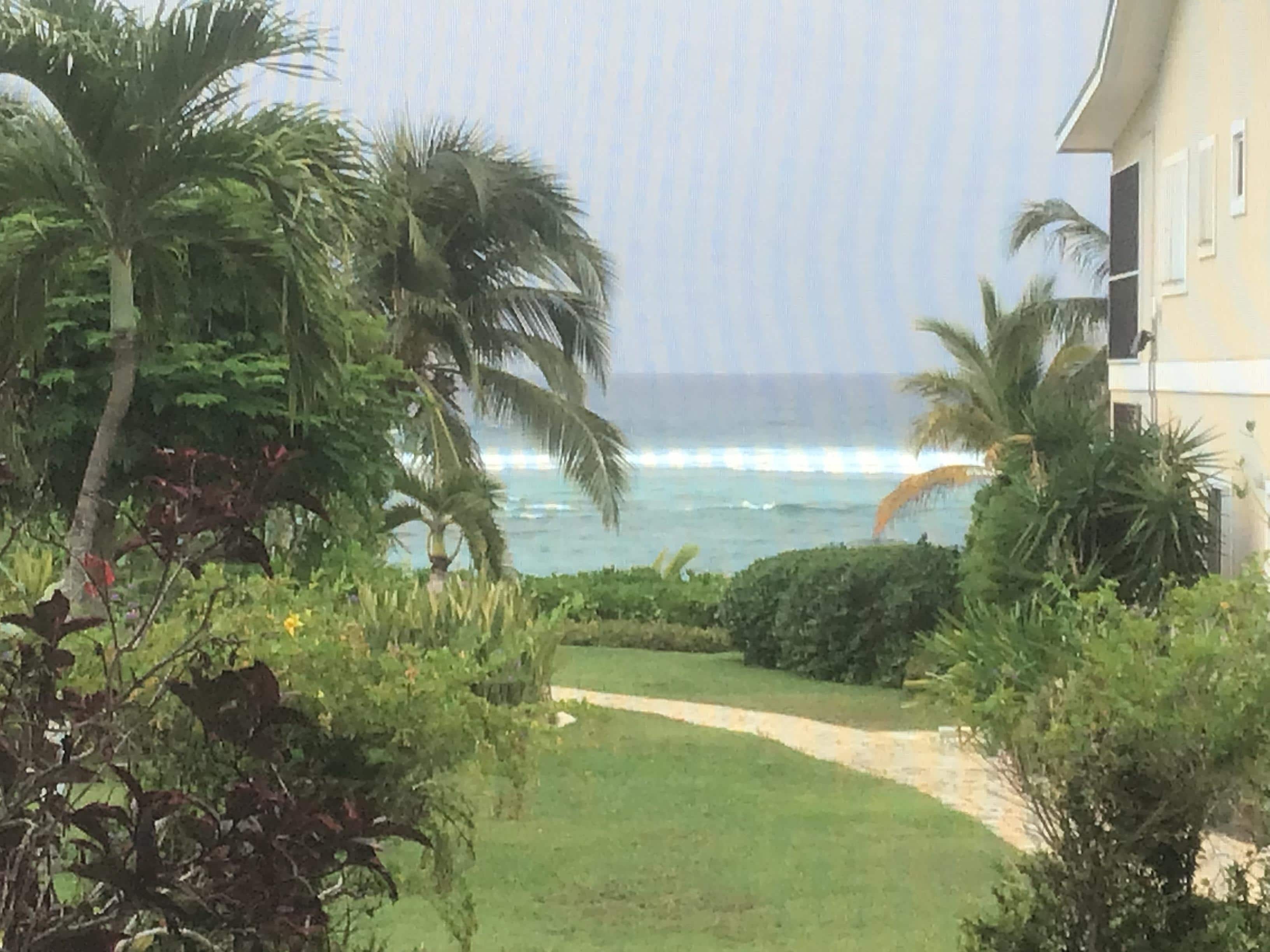 View from screened in porch