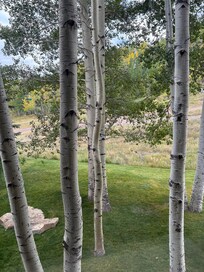 View out extra window since it’s an end unit.