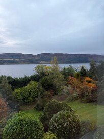Room view