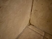 Shower’s Black Mold