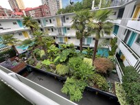 The inner courtyard green space.