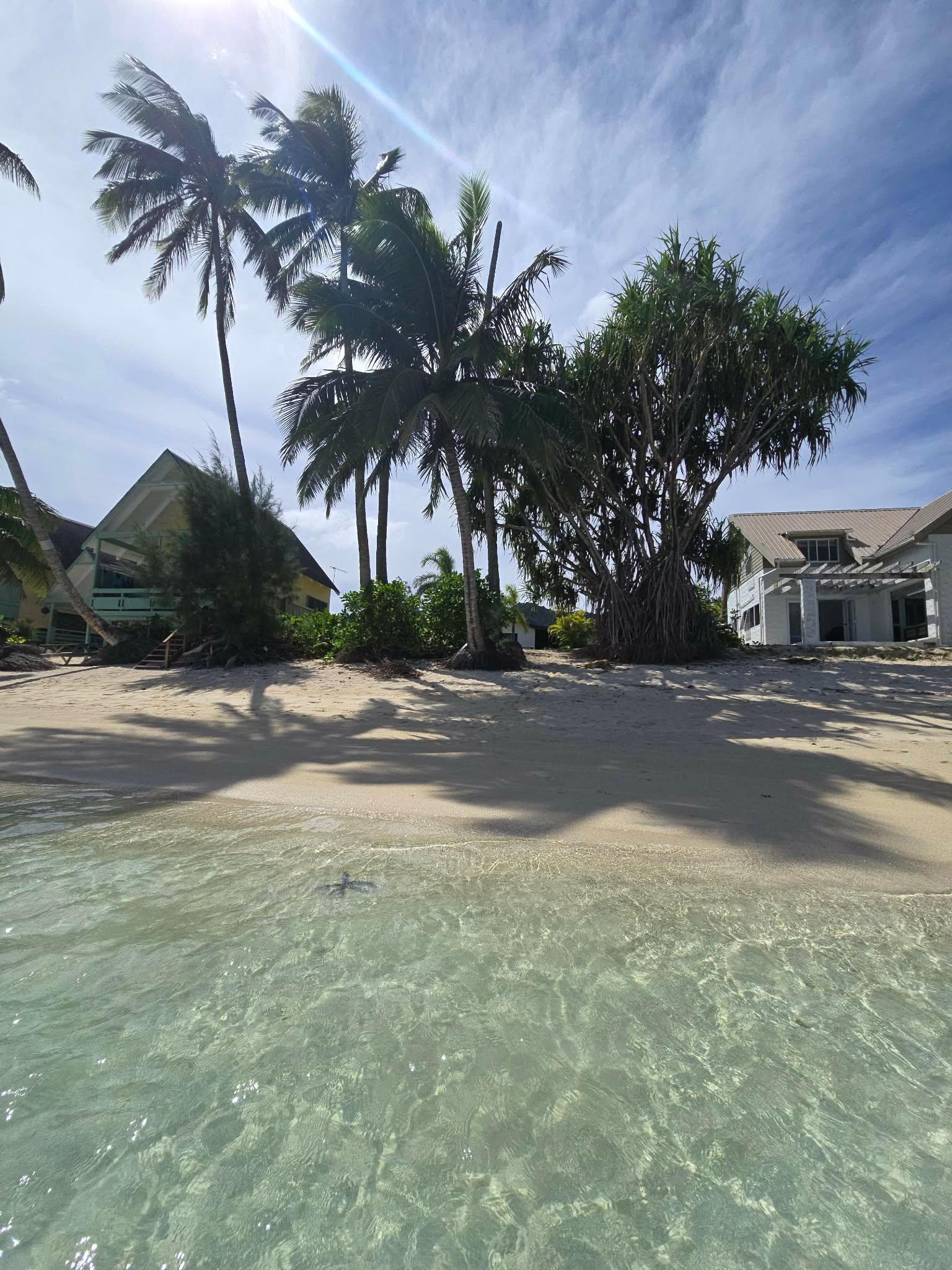 view from the water - Nana's is in the middle behind the trees