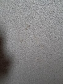 Traces sur le mur