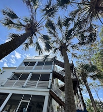 View from hammock