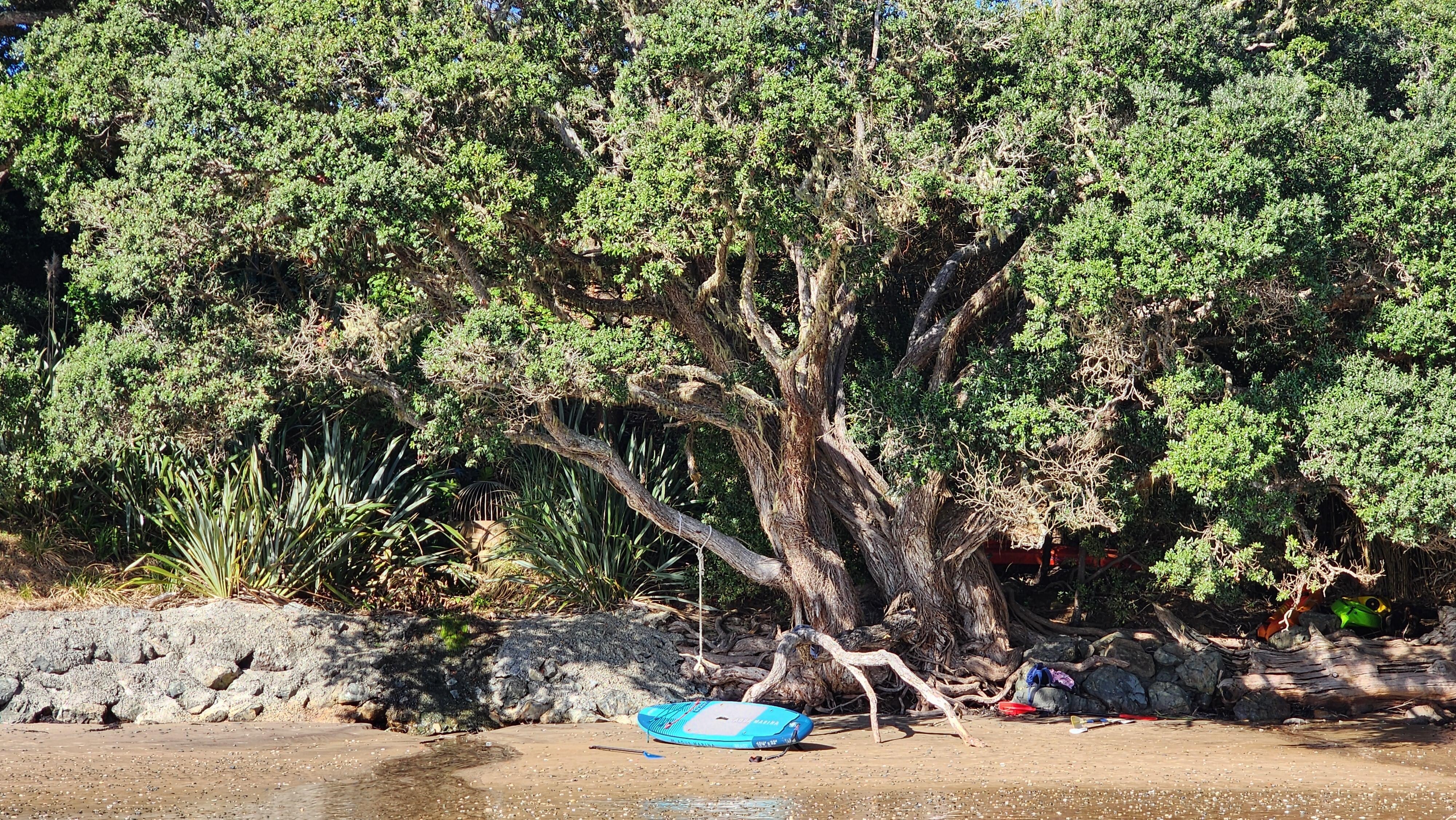 Beach directly under the DAVINAS.