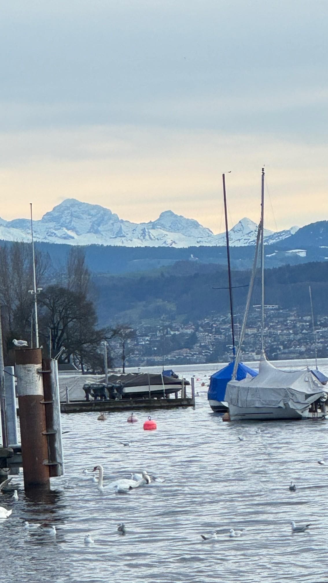 View from our bridge