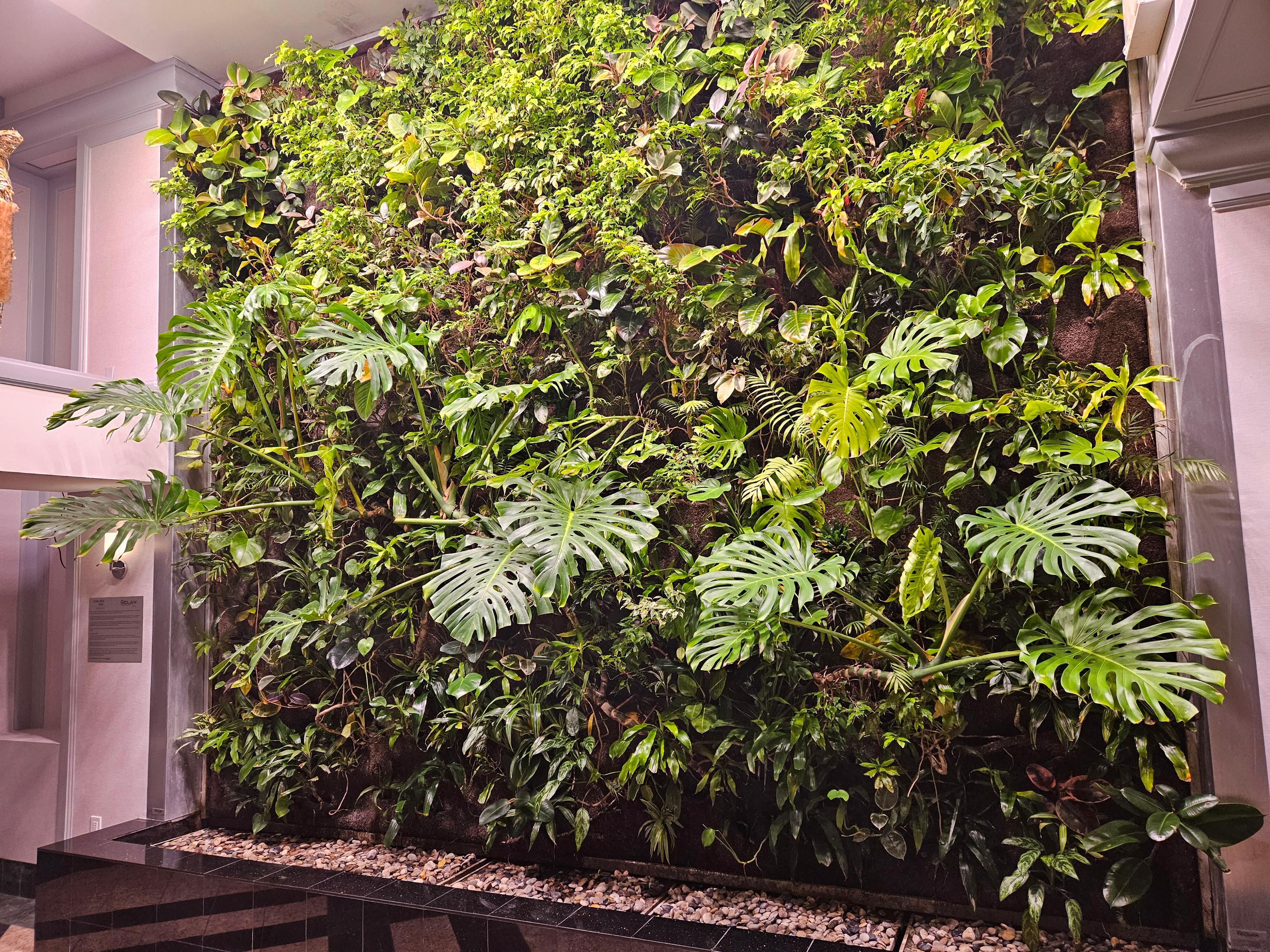 Nice green wall in the spacious main lobby