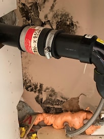 Mouse traps and black mold under the sink