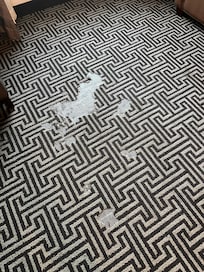 The carpet