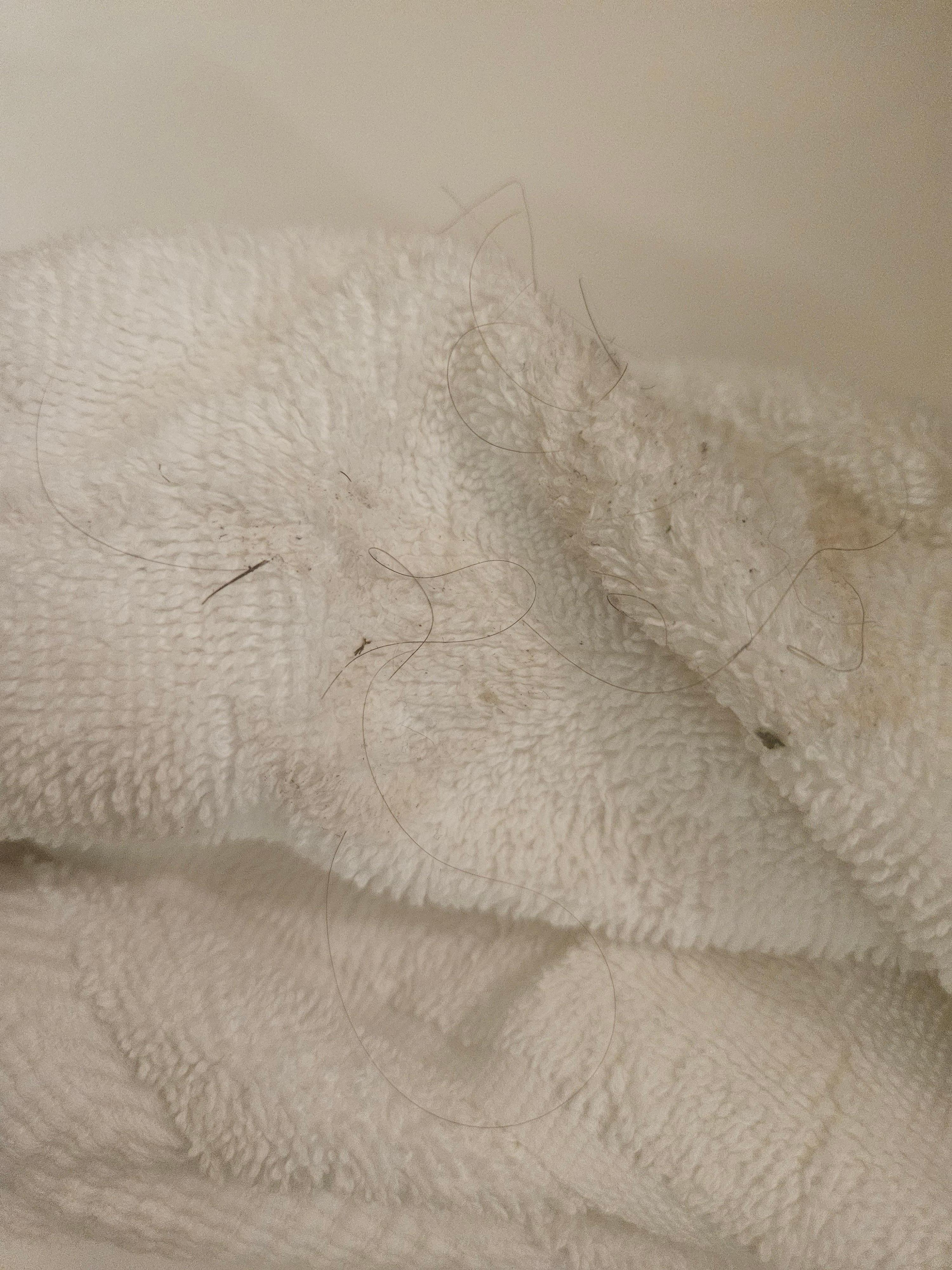 From the floor  in the bathroom 